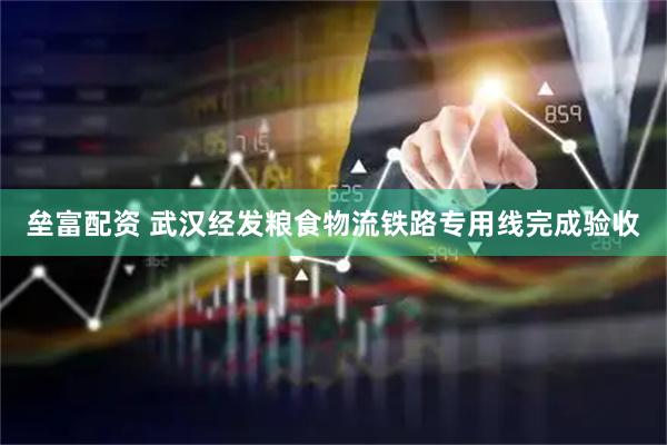 垒富配资 武汉经发粮食物流铁路专用线完成验收