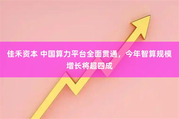 佳禾资本 中国算力平台全面贯通，今年智算规模增长将超四成