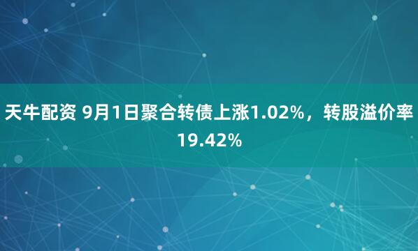天牛配资 9月1日聚合转债上涨1.02%，转股溢价率19.42%