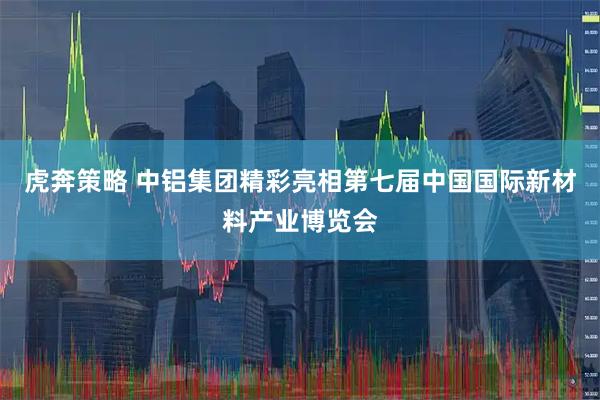 虎奔策略 中铝集团精彩亮相第七届中国国际新材料产业博览会