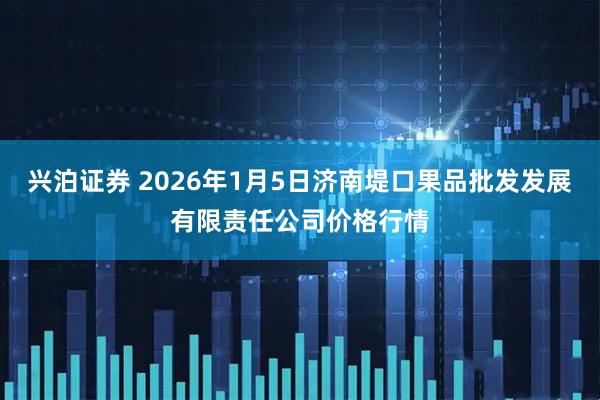 兴泊证券 2026年1月5日济南堤口果品批发发展有限责任公司价格行情