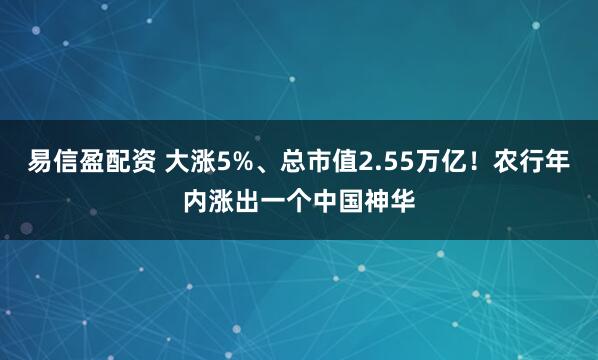 易信盈配资 大涨5%、总市值2.55万亿！农行年内涨出一个中国神华